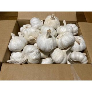 嘉定種 令和4年度産 ニンニク 中球(M球程度) 1kg にんにく(野菜)