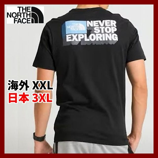 THE NORTH FACE(ザノースフェイス)のノースフェイス 半袖Tシャツ NSE GRAPHIC 黒 XXLサイズ メンズのトップス(Tシャツ/カットソー(半袖/袖なし))の商品写真