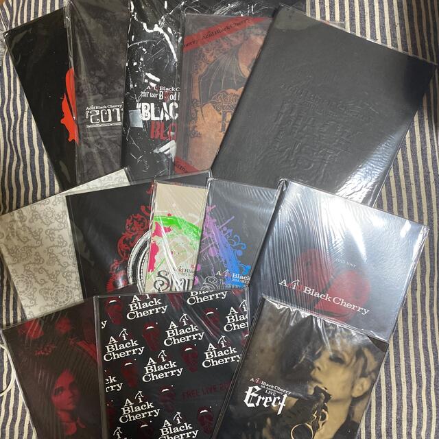 Acid Black Cherry パンフレット13冊