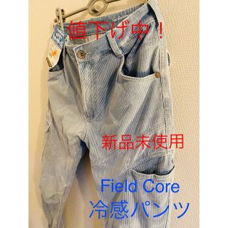 ワークマン(WORKMAN)のFieldCore ワークマンプラス 冷感アイスパンツ Sサイズ(ワークパンツ/カーゴパンツ)