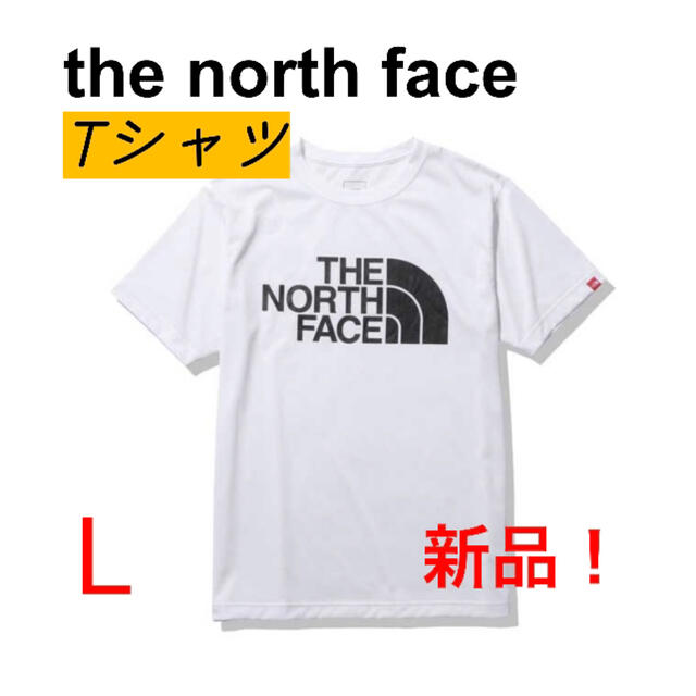 THE NORTH FACE(ザノースフェイス)のザ ノースフェイス NT32133 W2 ショートスリーブカラードームティー Ｌ メンズのトップス(Tシャツ/カットソー(半袖/袖なし))の商品写真