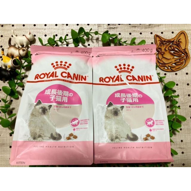 フォロワー様割引き 仔猫お迎え 猫 ロイヤルカナン 子猫 後期 400g×2袋
