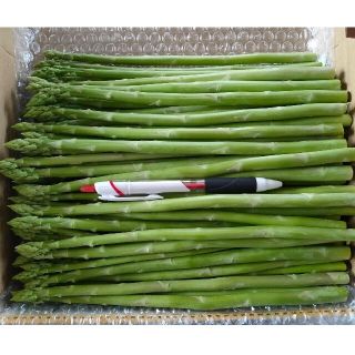 細アスパラガス 1kg(野菜)