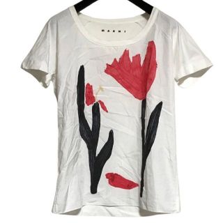 マルニ(Marni)のマルニ 半袖Tシャツ サイズ42 M レディース(Tシャツ(半袖/袖なし))