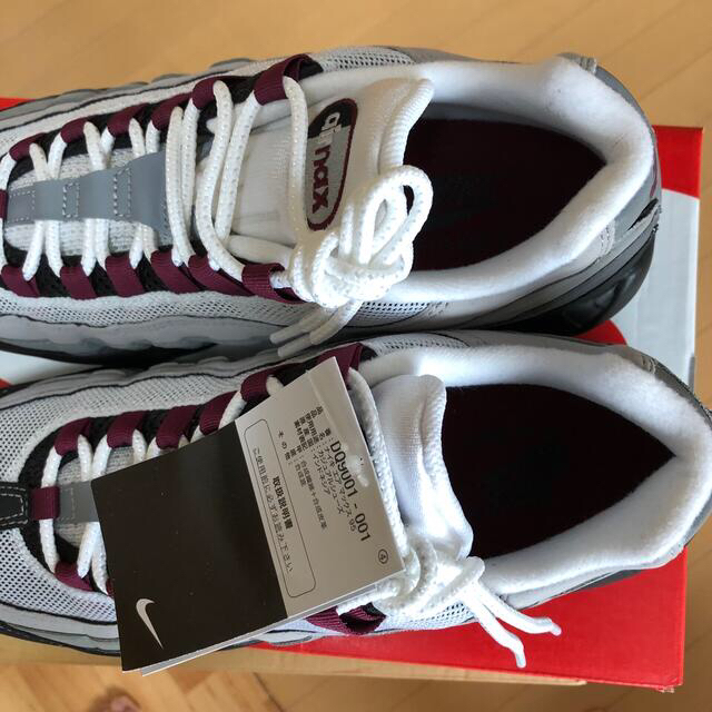 Nike Air Max 95  "Dark Beetroot"  29.5cm 2