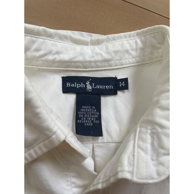 POLO RALPH LAUREN(ポロラルフローレン)のラルフローレン　シャツ レディースのトップス(シャツ/ブラウス(長袖/七分))の商品写真