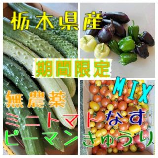 栃木県産　無農薬　なす・ピーマン・きゅうり・ミニトマトMIX(野菜)