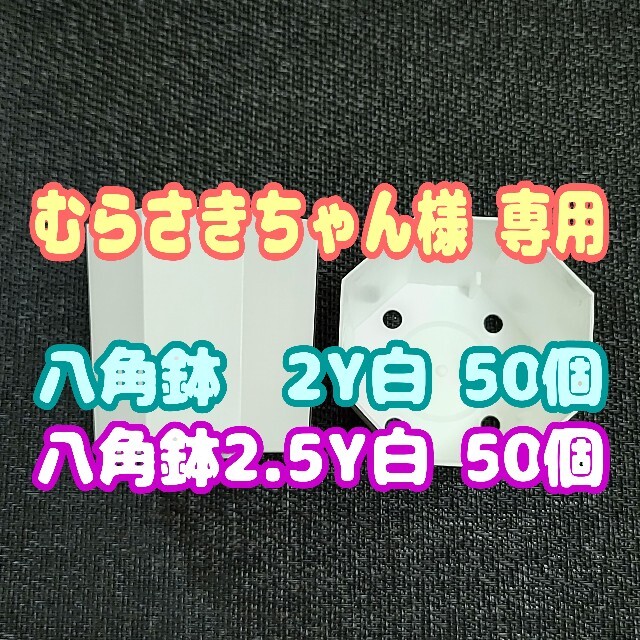 カネヤ【2Y･2.5Y 各50個】八角鉢白 プラ鉢スリット鉢プレステラ多肉植物 ハンドメイドのフラワー/ガーデン(プランター)の商品写真