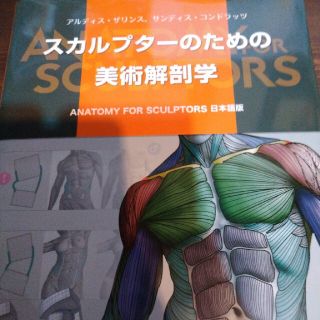 スカルプターのための美術解剖学 ＡＮＡＴＯＭＹ ＦＯＲ ...