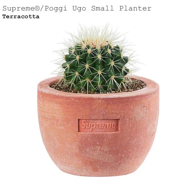 Supreme(シュプリーム)のSupreme / Poggi Ugo Small Planter 植木鉢 ハンドメイドのフラワー/ガーデン(プランター)の商品写真