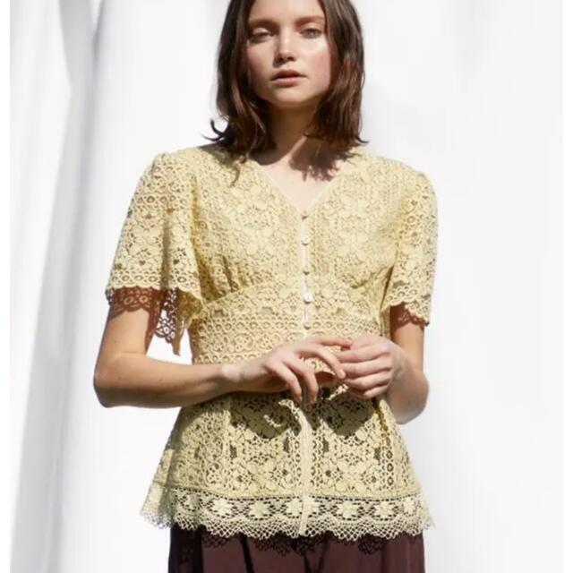 JILLSTUART(ジルスチュアート)のJILLSTUART ソリュートレースブラウス レディースのトップス(シャツ/ブラウス(半袖/袖なし))の商品写真