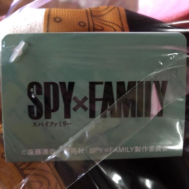 SPY×FAMILY BIGぬいぐるみ アーニャ･フォージャー 2種セット‼️ エンタメ/ホビーのおもちゃ/ぬいぐるみ(ぬいぐるみ)の商品写真