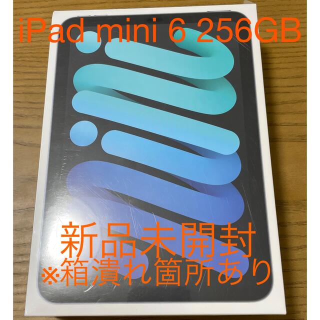 Apple iPad mini6 256GB wifi スペースグレー-