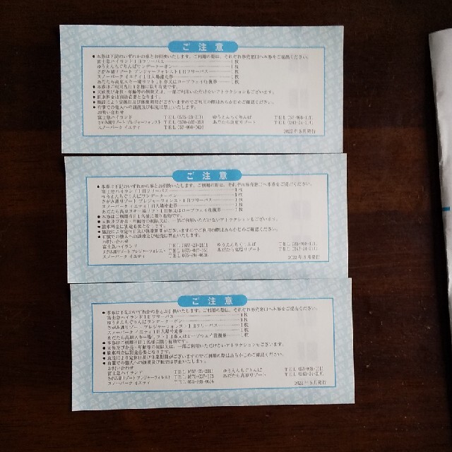 富士急ハイランド遊園地フリーパス三枚セット チケットの施設利用券(遊園地/テーマパーク)の商品写真