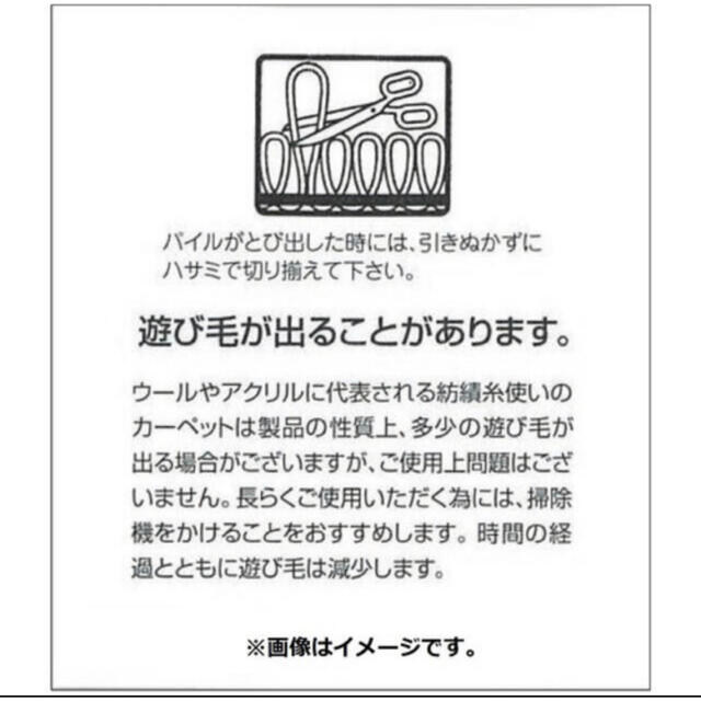 【匿名配送】ポケモンセンター ポケモン メタモン スミノエマット　マット ラグ 4