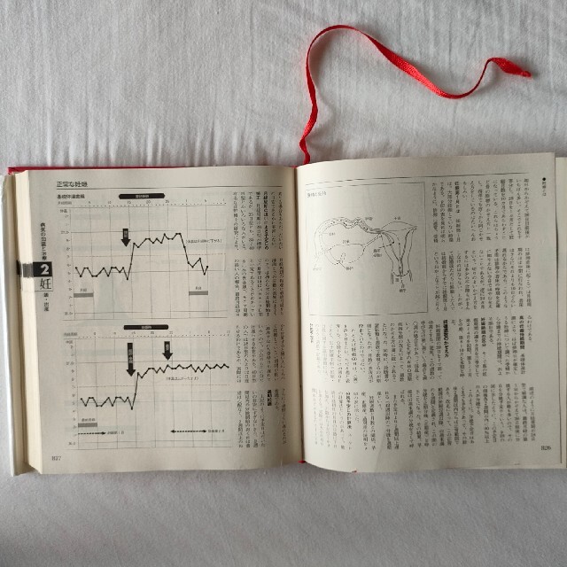 【家庭医学大百科】 家庭の医学 ホームドクター 医学書 医学事典 百科事典 エンタメ/ホビーの本(健康/医学)の商品写真