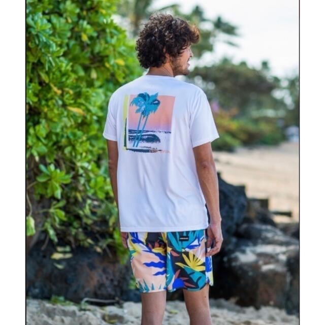 QUIKSILVER(クイックシルバー)のクイックシルバー　QUIKSILVER サーフパンツ　ボードパンツ　水着　30 メンズの水着/浴衣(水着)の商品写真