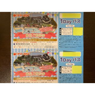 2枚セット 東京サマーランド 株主優待券 1dayパス(プール)