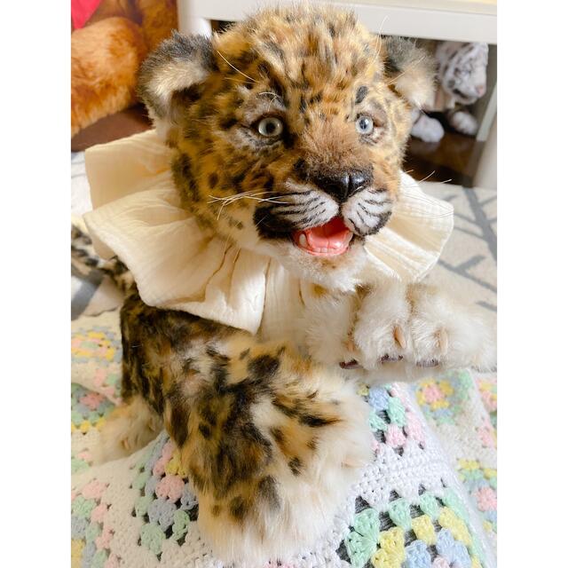 作家様 ぬいぐるみ ヒョウ ジャガー アートドール
