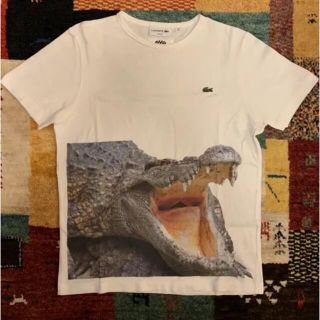 ジュンヤワタナベコムデギャルソン(JUNYA WATANABE COMME des GARCONS)のジュンヤワタナベ ラコステ Tシャツ Sサイズ(シャツ)