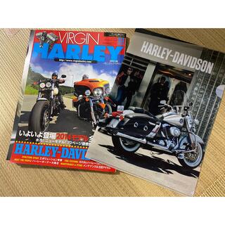 ハーレーダビッドソン(Harley Davidson)のVIRGIN HARLEY vol.23  2013年＋クリアファイル(車/バイク)