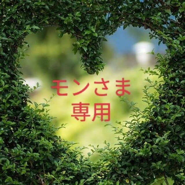Dr.Ci Labo - 【ドクターシーラボ】ソニックリフトスペシャルの通販 by