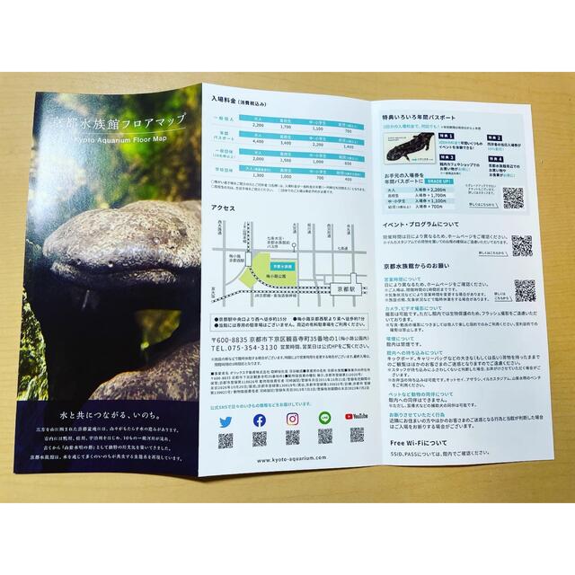 京都水族館　年間パスポート引換券 チケットの施設利用券(水族館)の商品写真