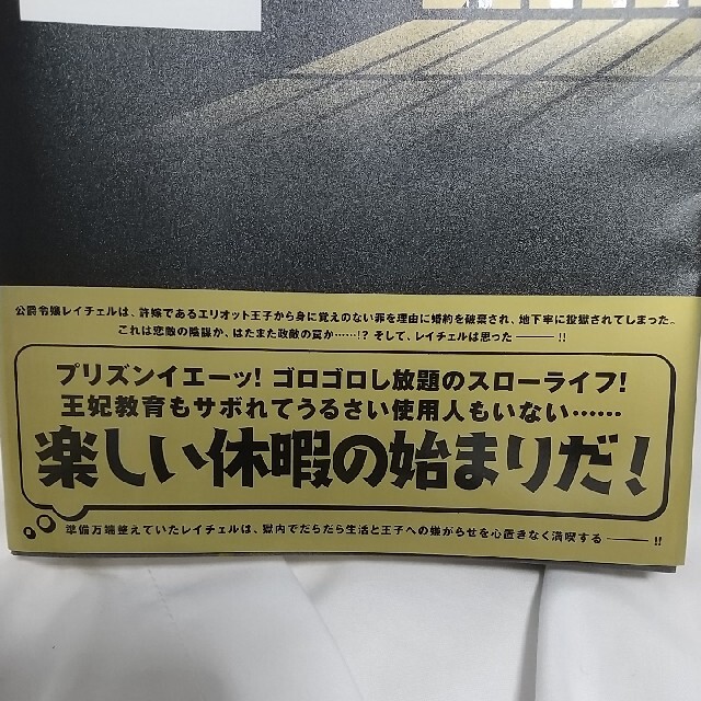 小説・婚約破棄から始まる悪役令嬢の監獄スローライフ 上 エンタメ/ホビーの本(文学/小説)の商品写真