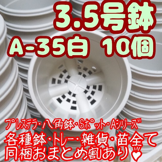 プラ鉢3.5号鉢【A-35】10個 スリット鉢 丸 プレステラ 多肉植物 ハンドメイドのフラワー/ガーデン(プランター)の商品写真