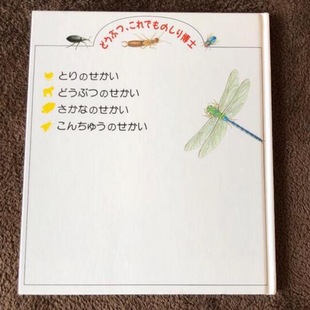 こんちゅうのせかい エンタメ/ホビーの本(絵本/児童書)の商品写真