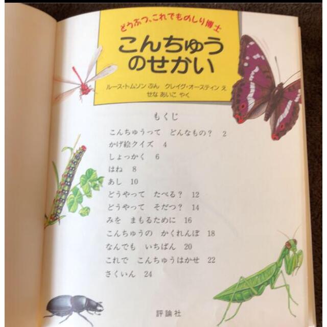 こんちゅうのせかい エンタメ/ホビーの本(絵本/児童書)の商品写真