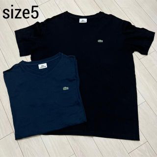 ラコステ(LACOSTE)のLACOSTE  ワニワッペン　Tシャツ　二枚セット(Tシャツ/カットソー(半袖/袖なし))