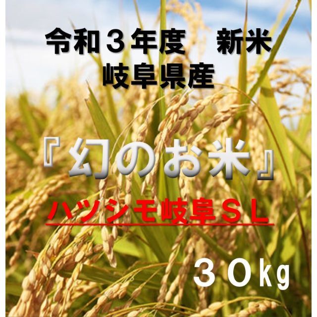 米/穀物岐阜ブランド米　『岐阜ハツシモ』 新米 玄米　30kg
