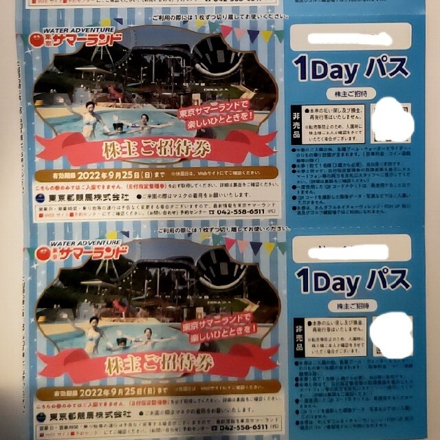 東京サマーランド 1dayパス(2022年9月25日まで) - www.shipsctc.org 東京サマーランド 1dayパス(2022年9月25日まで) - www.shipsctc.org