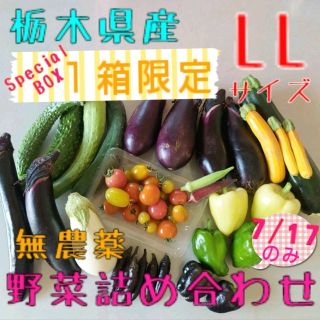 限定1箱❗野菜おまかせ詰め合わせBOX【100サイズ】(野菜)