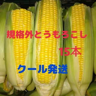 規格外とうもろこし(15本)(野菜)