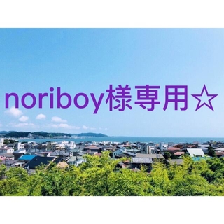 noriboy様専用(はんこ)