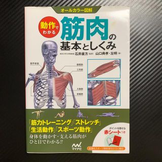 動作でわかる筋肉の基本としくみ オ－ルカラ－図解(その他)