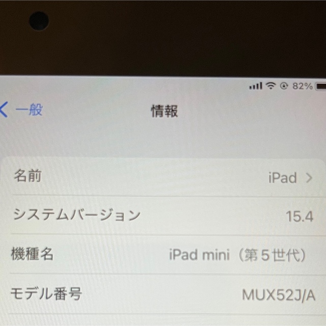iPad mini 第5世代 スペースグレイ セルラーwifi cellular 4