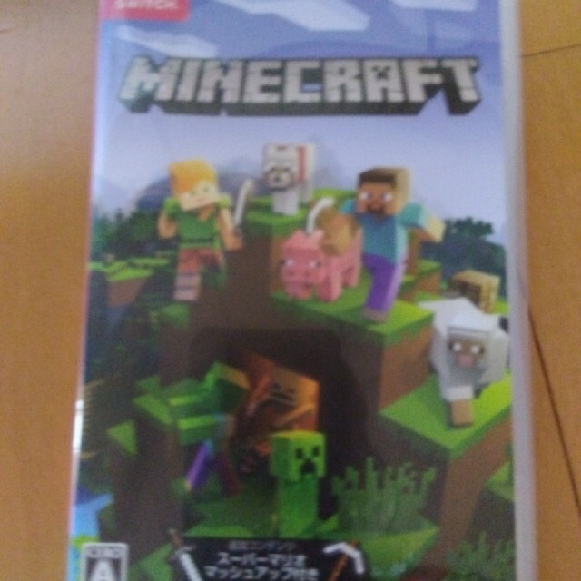 Minecraft Switch