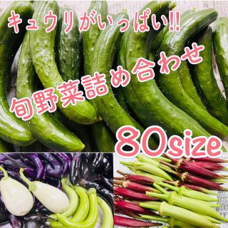 訳ありきゅうりと新鮮野菜詰め合わせ ⚘⚘⚘  80size 無農薬(野菜)