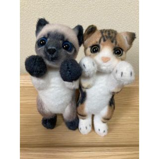 たっちいzoo にゃんこ　2体セット(ぬいぐるみ)