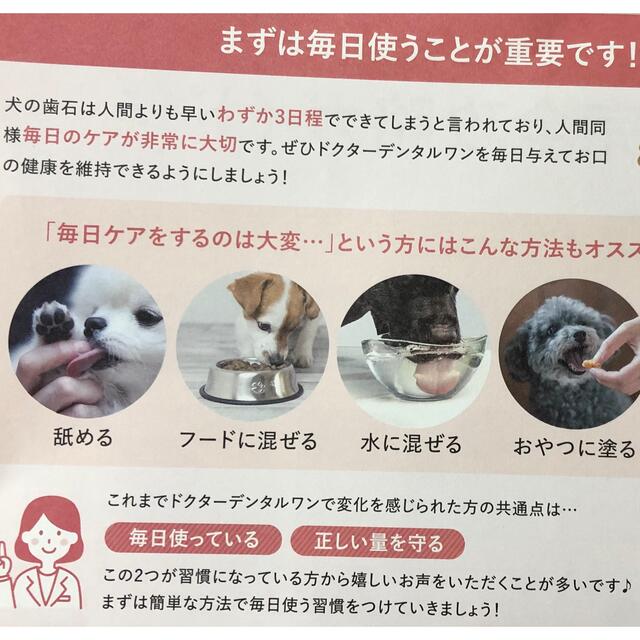 ドクターデンタルワン 2本セットの通販 by ピー介's shop|ラクマ