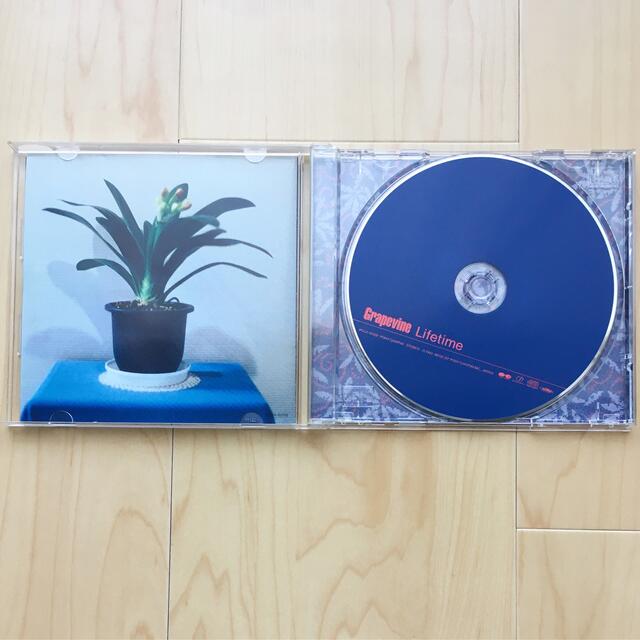 「Lifetime」GRAPEVINE エンタメ/ホビーのCD(ポップス/ロック(邦楽))の商品写真