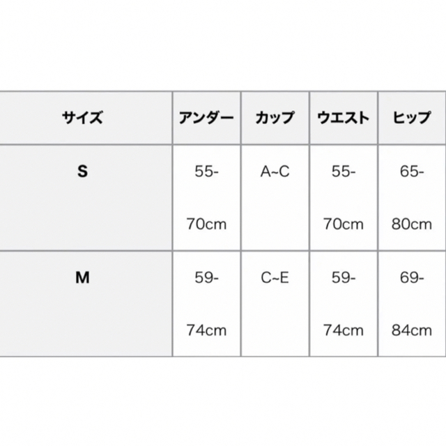 eimy istoire(エイミーイストワール)のエイミーイストワール　ワンピース水着　fiona eimy istoire レディースの水着/浴衣(水着)の商品写真