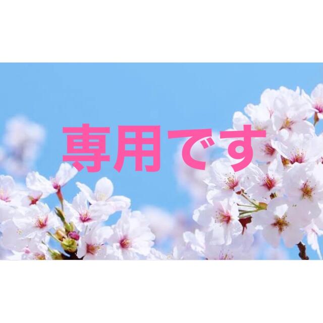 sweet☆様専用です。 www.disdukcapil.paserkab.go.id