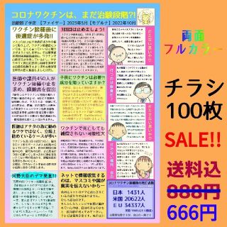 【セール】ワク●ン啓発チラシ 100枚(印刷物)