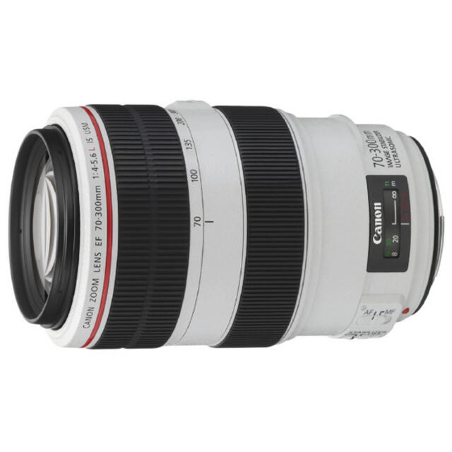 Canon 望遠ズームレンズ EF70-300mm F4-5.6L IS USM