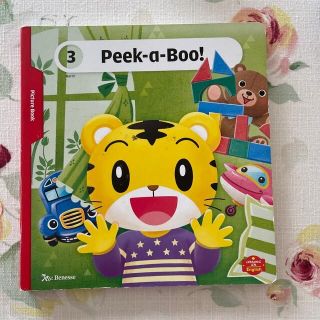 ベネッセ(Benesse)のこどもちゃれんじ　ぷち　English Picture Book (絵本/児童書)