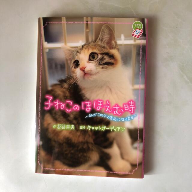 きみとのさんぽ道  &  子ねこのほほえむ時　２冊セット エンタメ/ホビーの本(その他)の商品写真